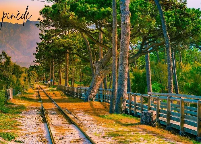 Le Millie 3 Hyper Centre