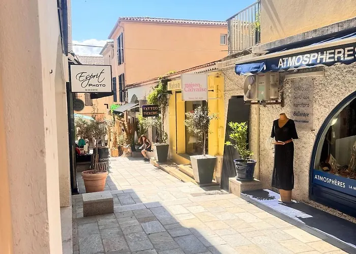 Le Millie 3 Hyper Centre Lägenhet